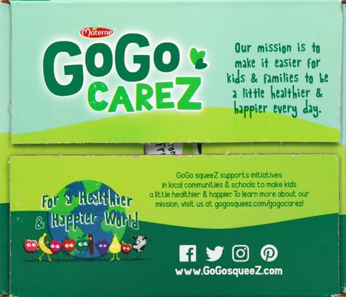 GoGo squeeZ Fruit on the Go Variety Pack, Apple, Banana & Strawberry, 3.2 oz (Pack of 20), Unsweetened Snacks for Kids, Gluten Free, Nut and Dairy Free, Recloseable Cap, BPA Free Pouches