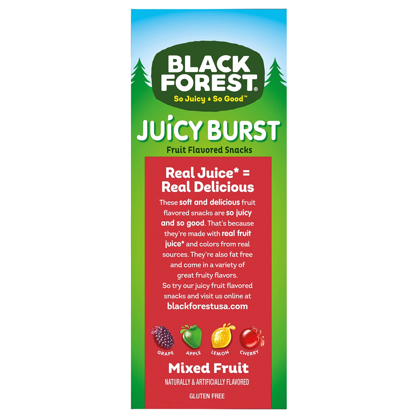 Black Forest, Juicy Burst, Fruit Flavored Snacks, Berry Medley Flavors, A Juicy Burst of Natural Flavors, Made with Real Fruit Juice, Halloween Treats Variety Pack Trick-or-Treat Assortment, 0.8 oz 40 ct