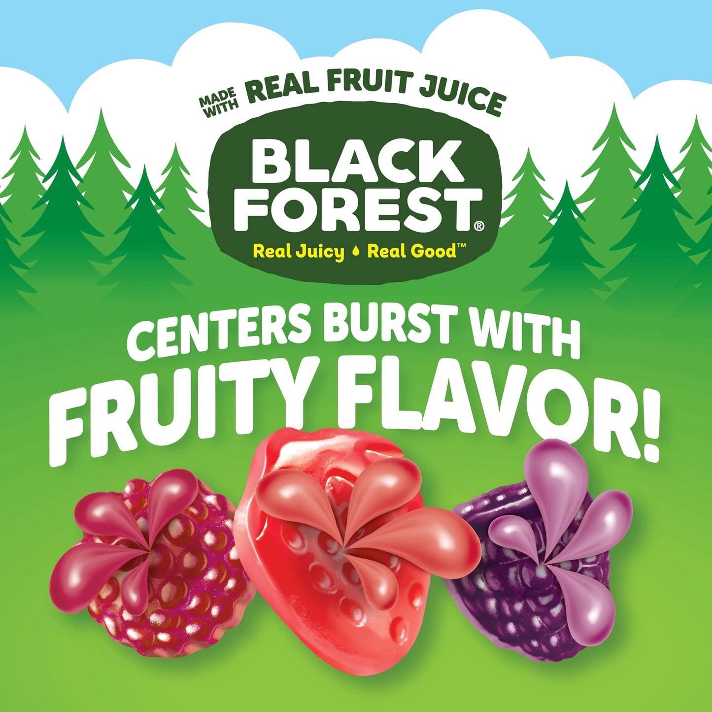 Black Forest, Juicy Burst, Fruit Flavored Snacks, Berry Medley Flavors, A Juicy Burst of Natural Flavors, Made with Real Fruit Juice, Halloween Treats Variety Pack Trick-or-Treat Assortment, 0.8 oz 40 ct