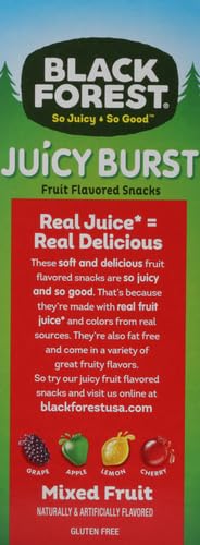 Black Forest, Juicy Burst, Fruit Flavored Snacks, Berry Medley Flavors, A Juicy Burst of Natural Flavors, Made with Real Fruit Juice, Halloween Treats Variety Pack Trick-or-Treat Assortment, 0.8 oz 40 ct