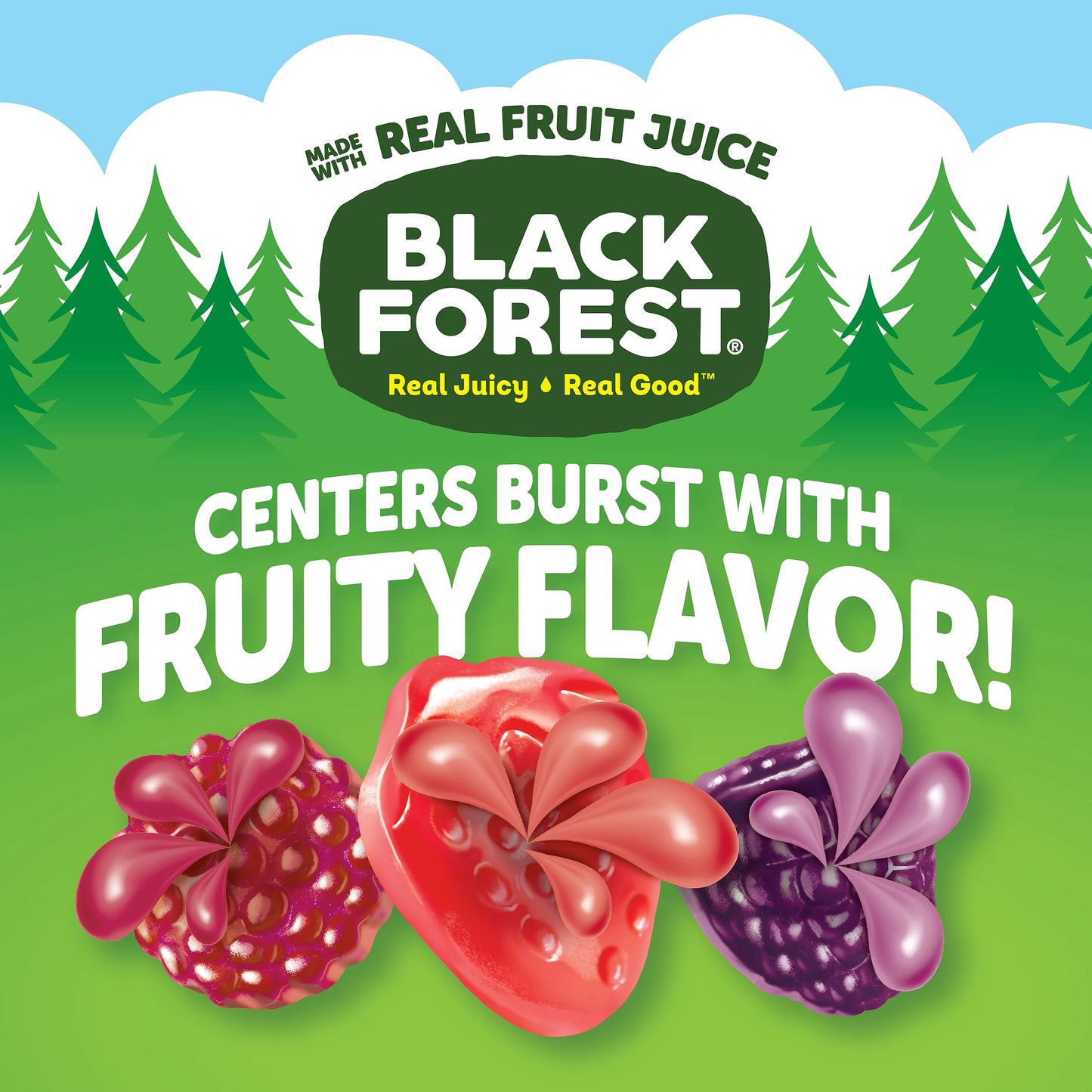 Black Forest, Juicy Burst, Fruit Flavored Snacks, Berry Medley Flavors, A Juicy Burst of Natural Flavors, Made with Real Fruit Juice, Halloween Treats Variety Pack Trick-or-Treat Assortment, 0.8 oz 40 ct